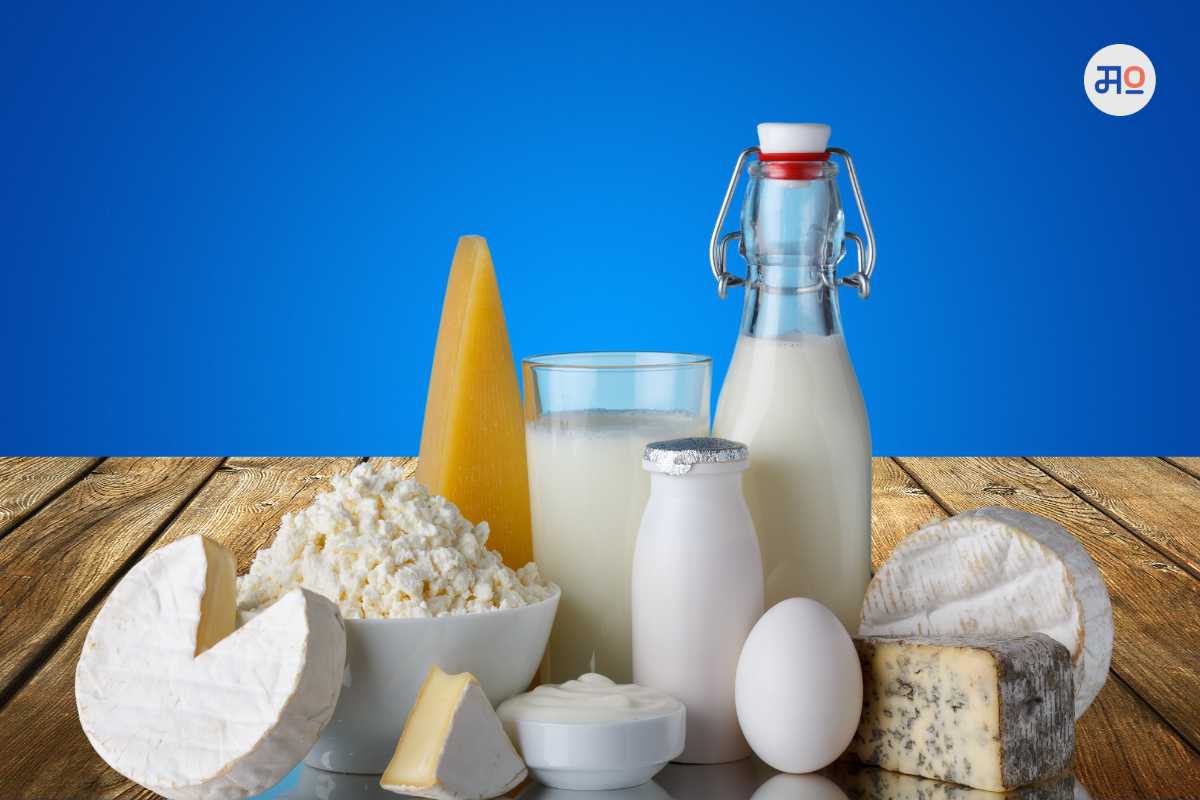 Dairy products : डेअरी प्रॉडक्ट्सची आयात तूर्तास नाही, सरकारचा मोठा निर्णय!