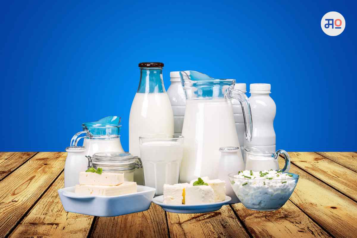 Dairy products : देशाला करावी लागू शकते डेअरी प्रॉडक्ट्सची आयात, काय आहे दुग्धव्यवसायाची स्थिती?