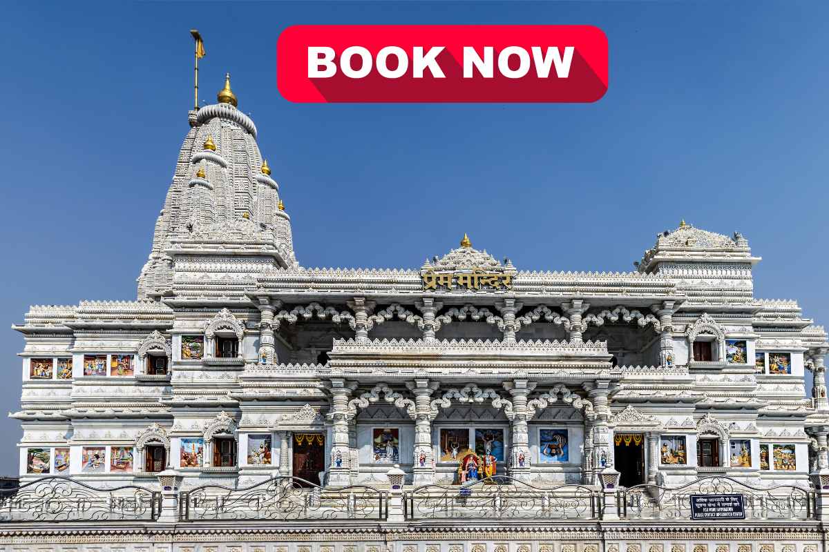 Trip on a Low Budget