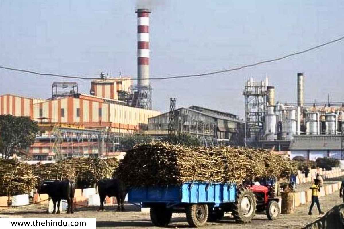 Sugarcane FRP  : चार साखर कारखान्यांविरोधात आरआरसी दाखल, एफआरपी थकवल्याने वसुलीचे आदेश जारी