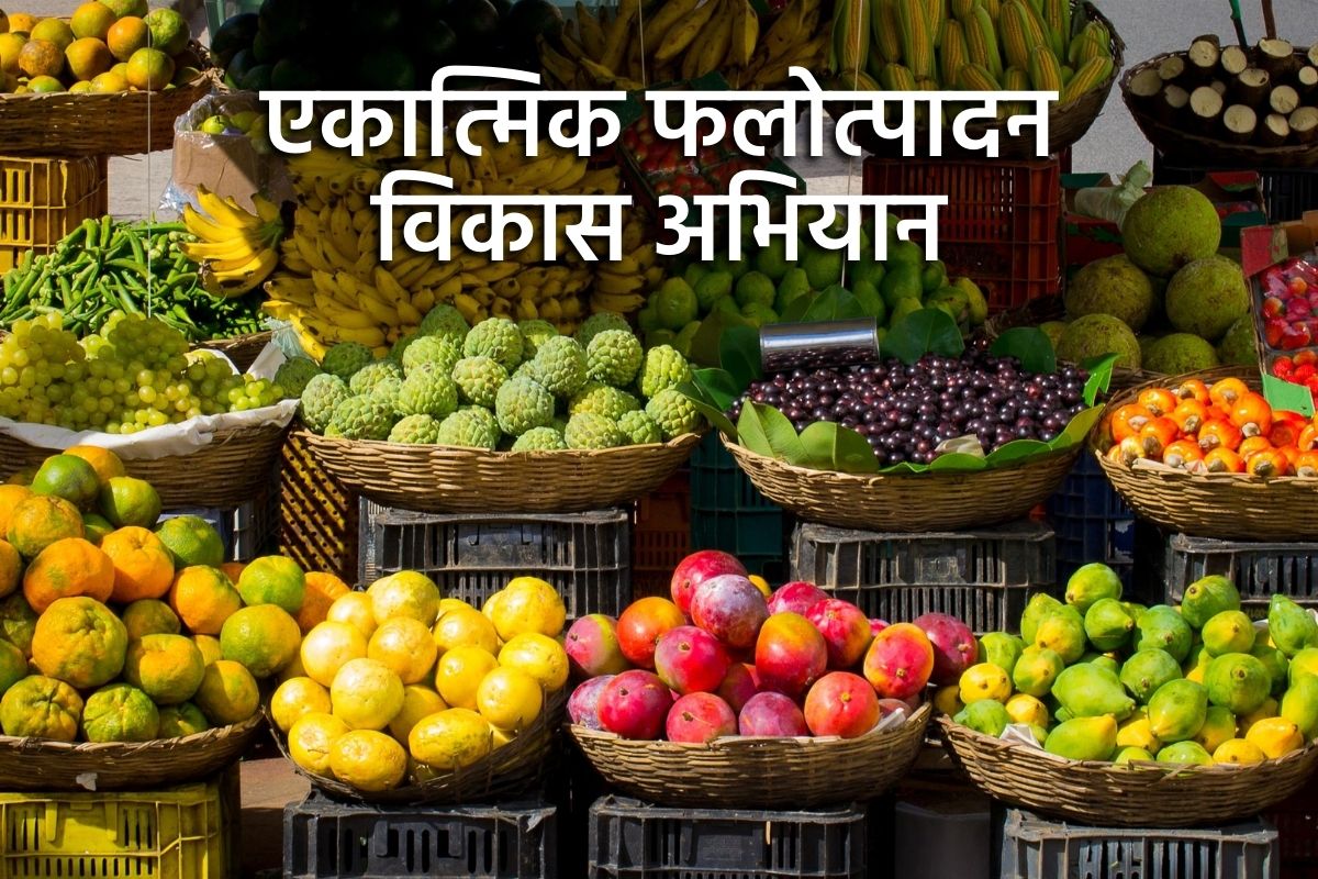 central govt Horticulture Scheme