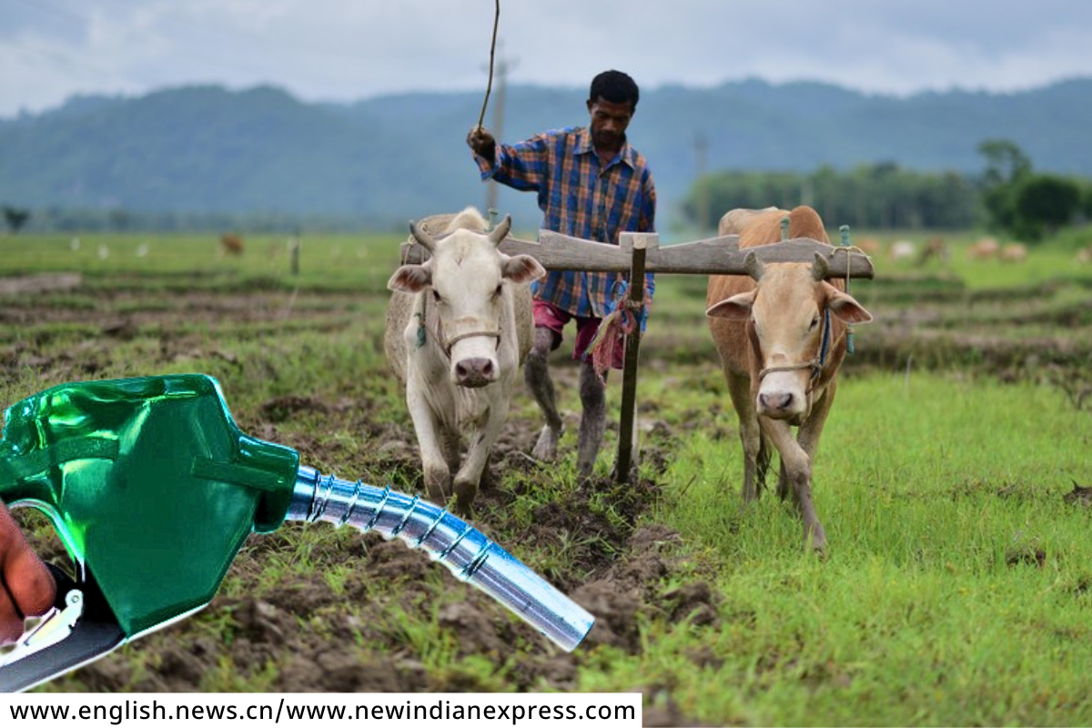 Ethanol Export : श्रीलंका, बांगलादेश भारताकडून इथेनॉल खरेदीसाठी इच्छुक; शेतकऱ्यांनाही होणार फायदा