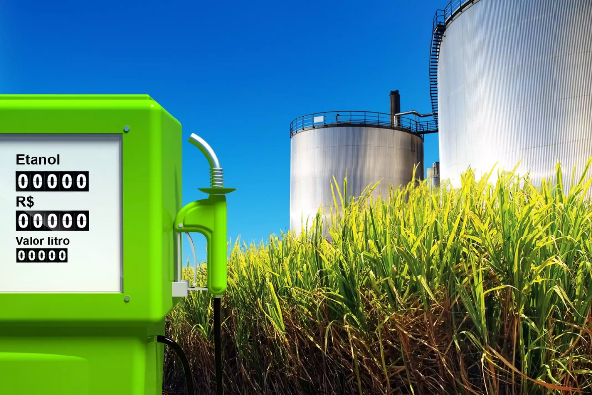 Ethanol plant: आता इथेनॉल प्लान्ट उभारणं होणार सोपं, सरकारकडून दिली जाणार 'ही' सुविधा