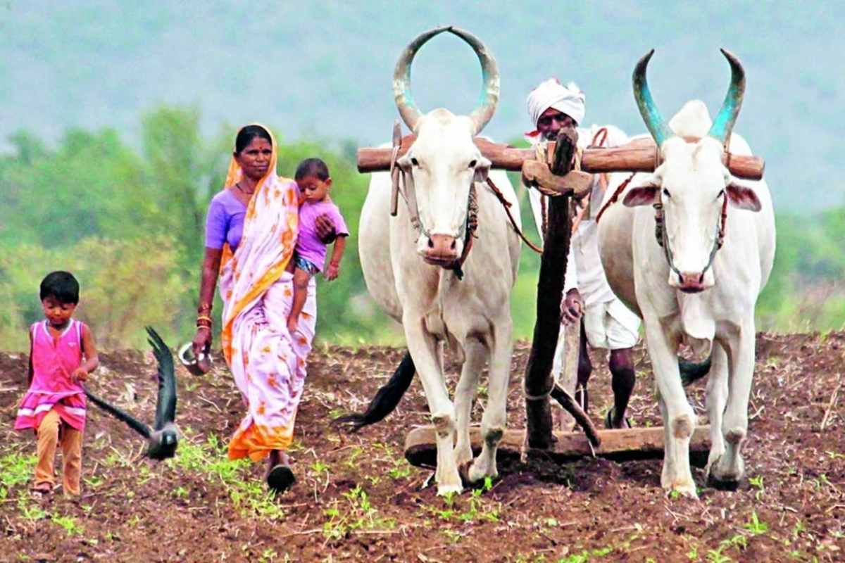 Farmers Scheme