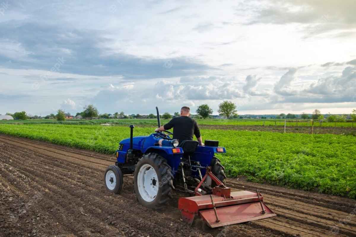 Government subsidy scheme