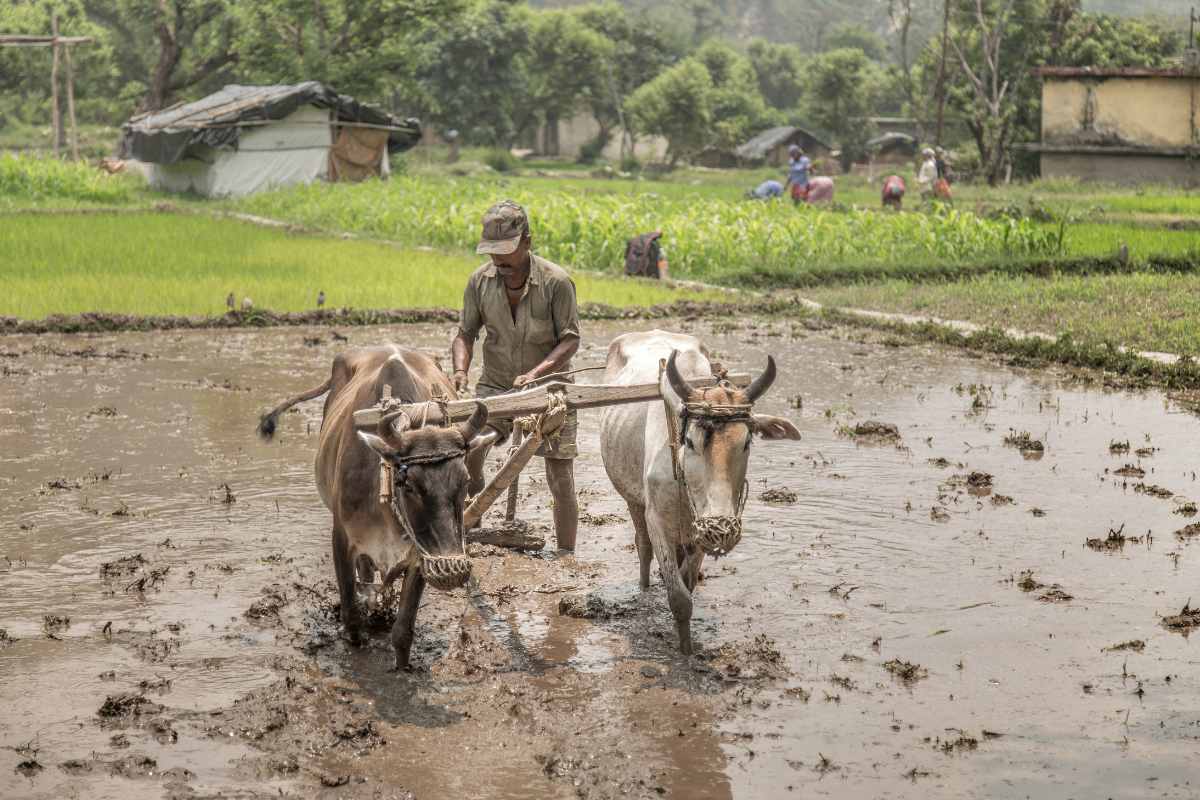 Farmers Ineligible for PM Kisan Yojana