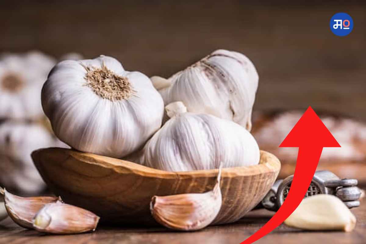 Garlic Price Hike