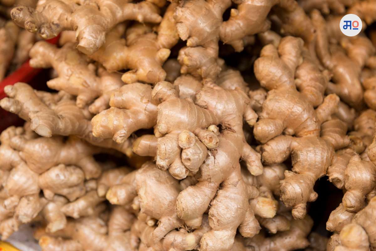Ginger Price Hike