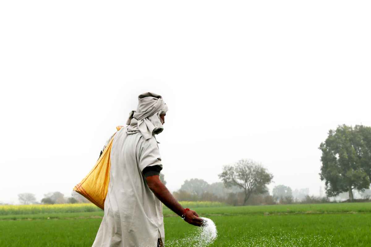 subsidy for P&K fertilizers for Rabi season