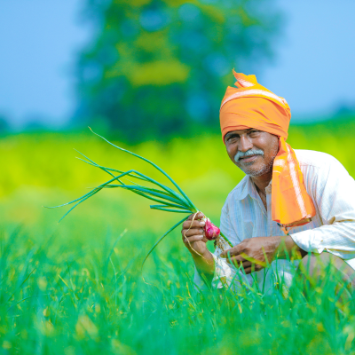 महाराष्ट्र सरकारकडून शेतकऱ्यांसाठी नवी योजना जाहीर!