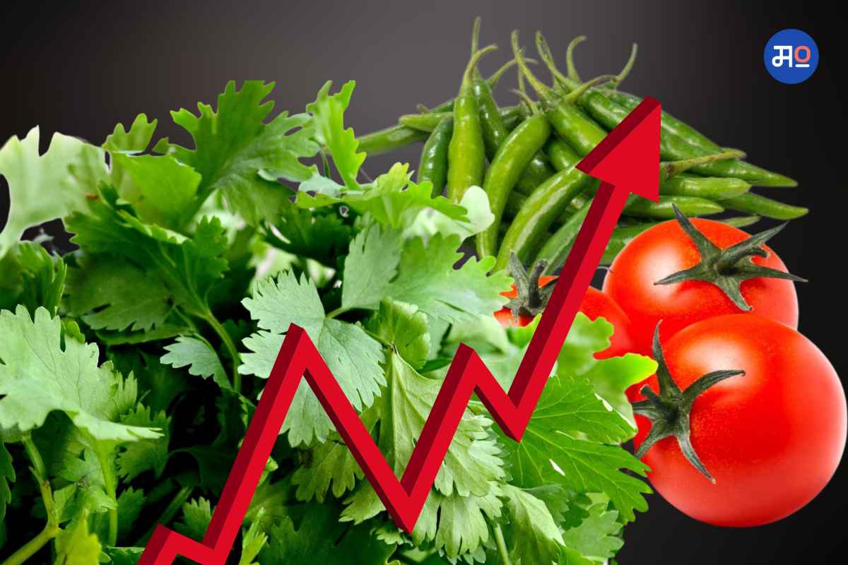 Green Chilli Price Hike