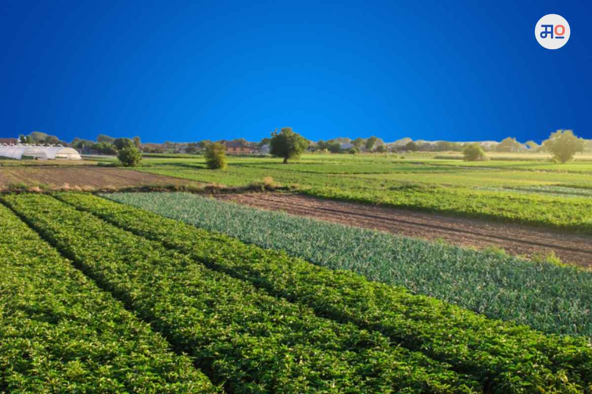 NA and Agricultural Plot