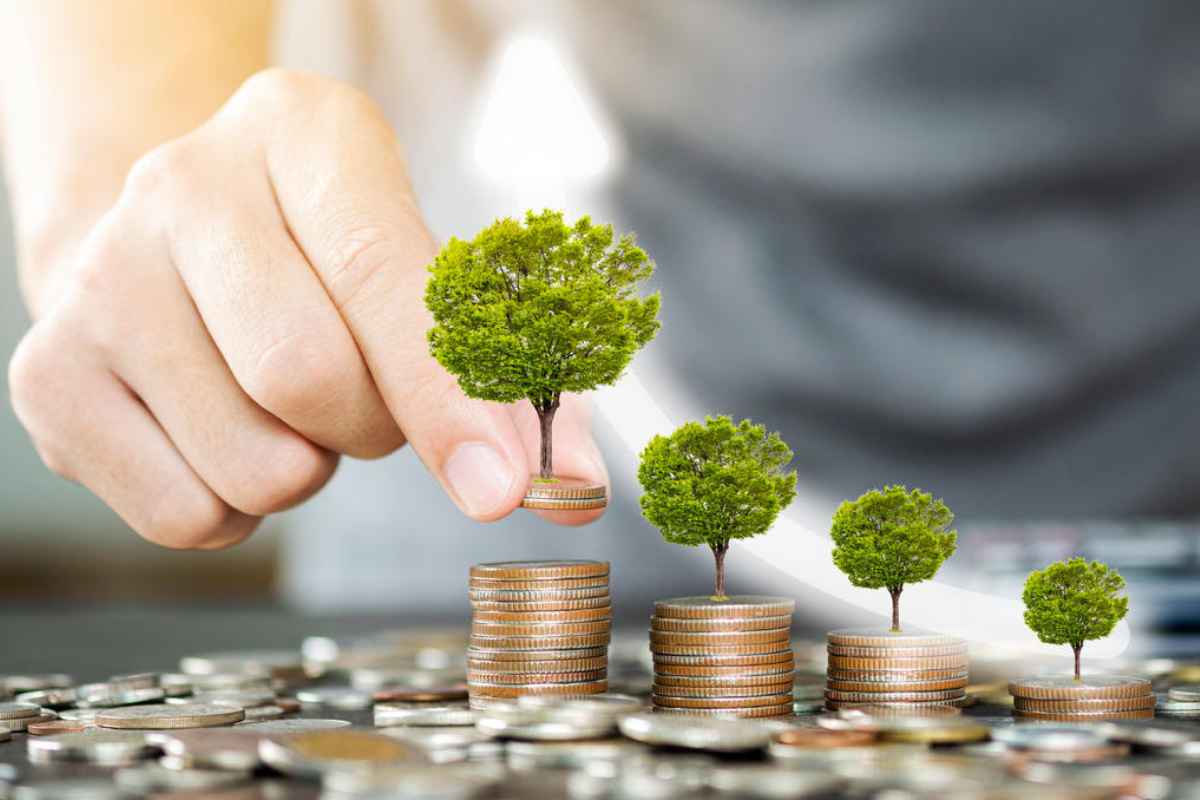 Highest Interest Rate On FD