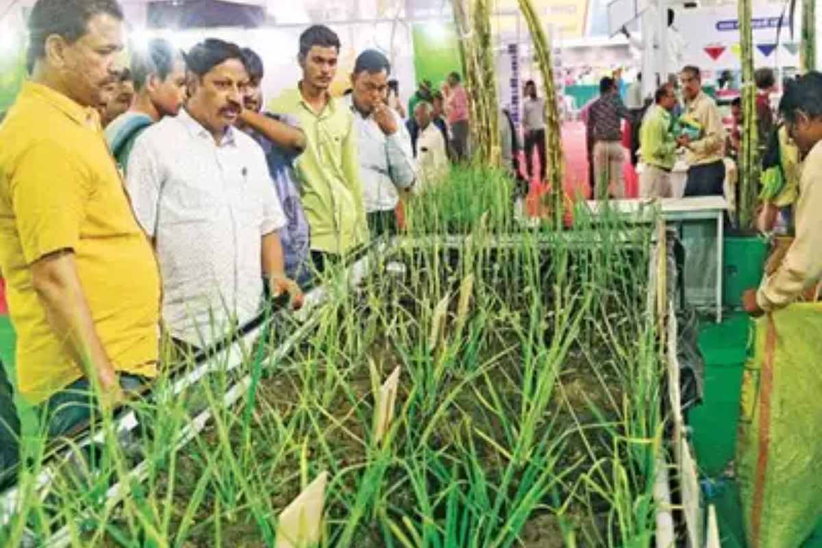 International Agricultural Facility Center