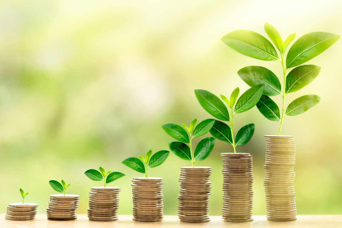Treasury bill investment, Investment