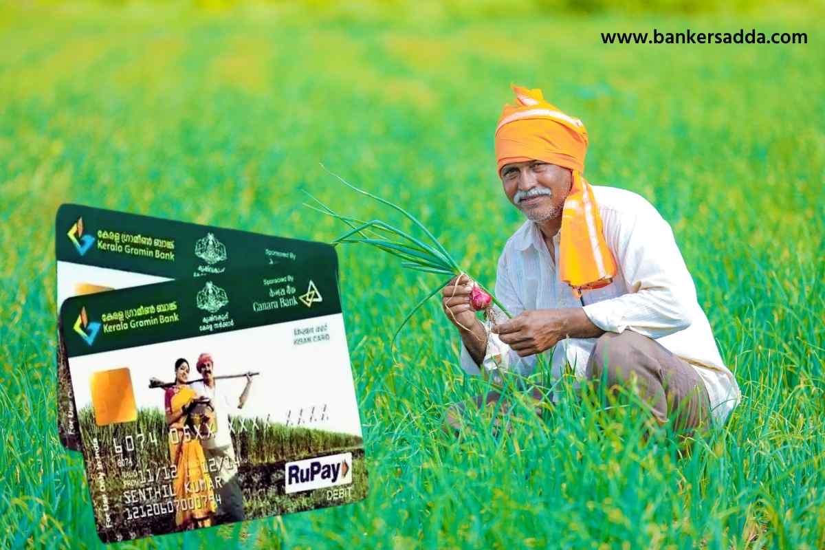 Kisan Credit Card : घटता घटता घटे..! किसान क्रेडिट कार्डांच्या संख्येय होतेय घट, काय आहेत कारण?