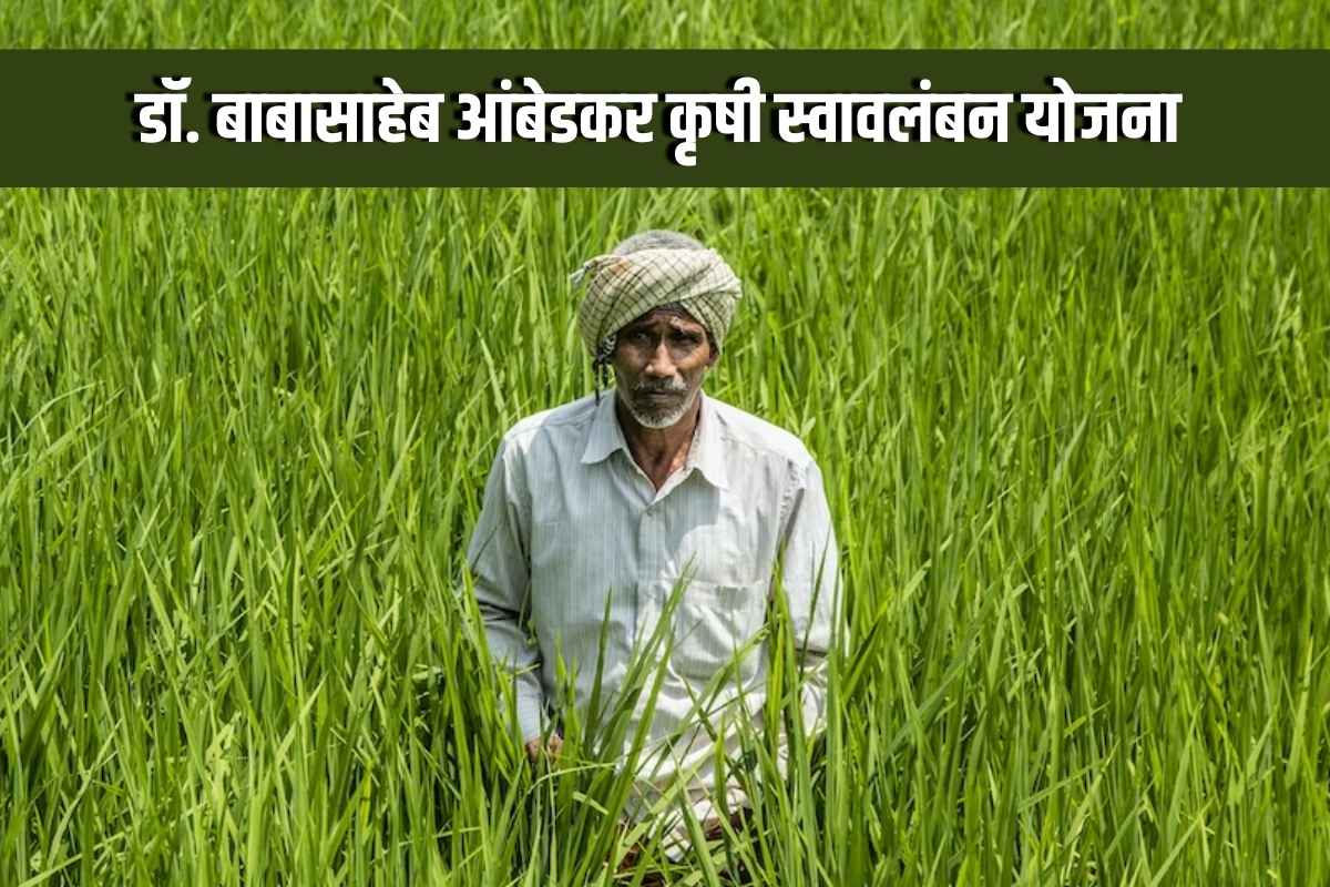 babasaheb ambedkar krushi swavalamban scheme