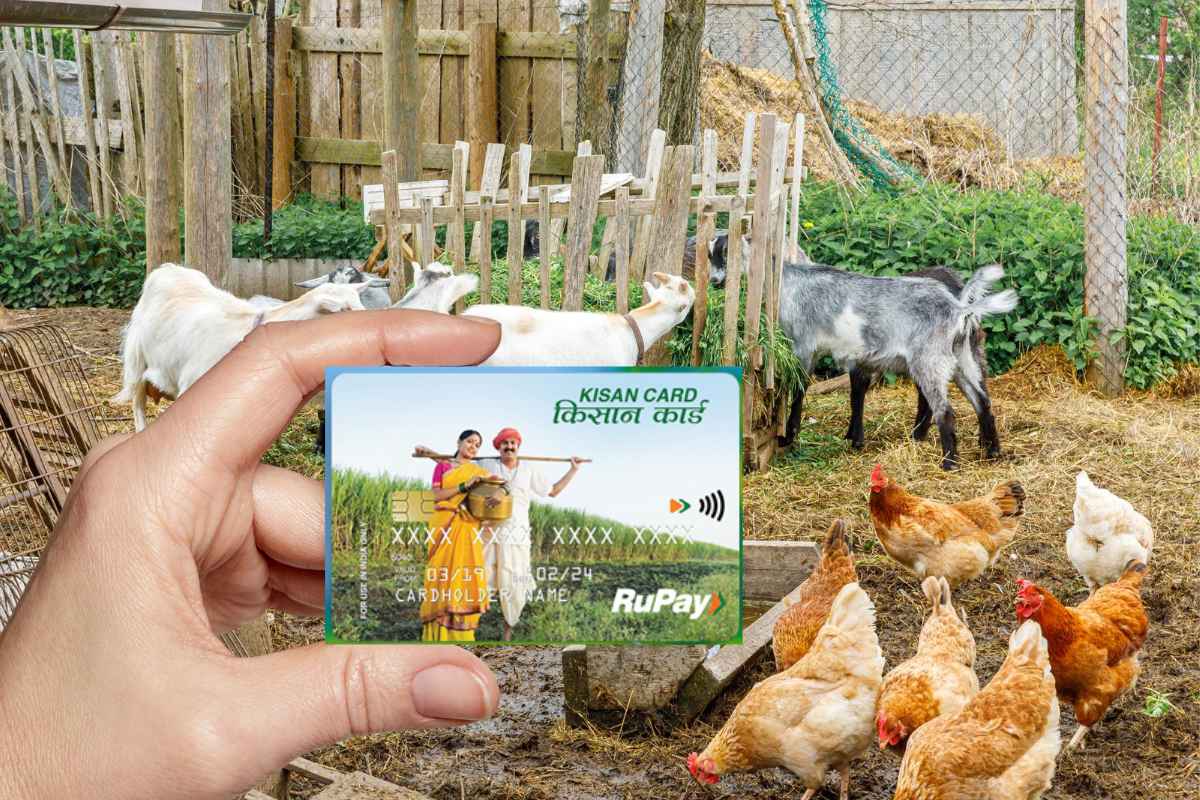 Pashu Kisan Credit Card