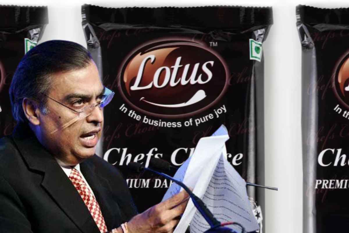 Lotus Chocolate Company Share Price