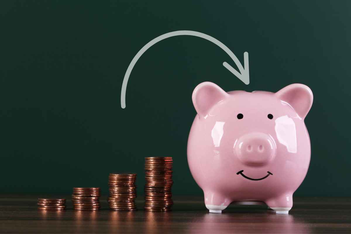 mutual fund investment