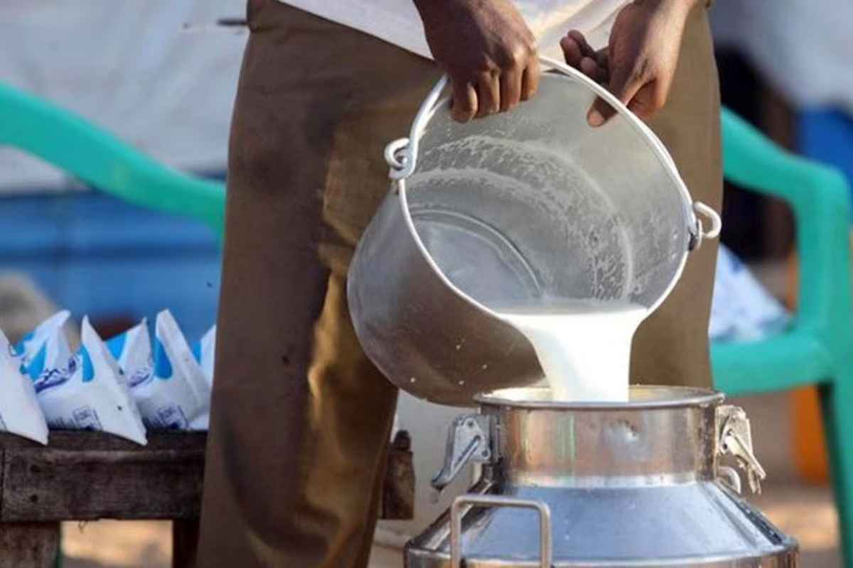 Milk rate : दुधासाठी ग्राहकांनी दिलेल्या मोबदल्यातील निम्माच भाग शेतकऱ्यांना मिळतोय