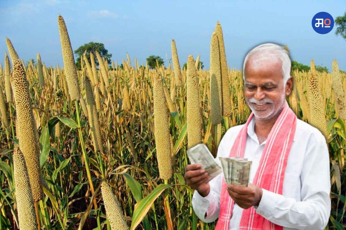 Millets Crop : खरीप हंगामात आर्थिकदृष्ट्या फायदेशीर ठरू शकतात भरडधान्य पिके