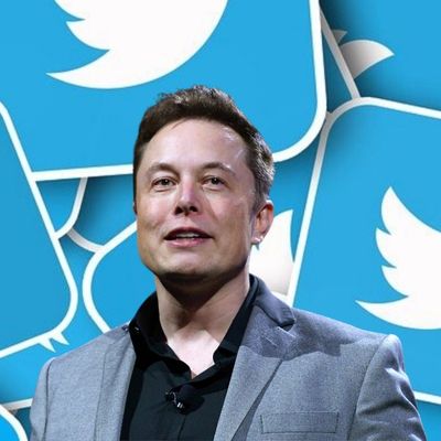 Annual plan of Twitter Blue: जाणून घ्या, ट्विटर ब्लू चा वार्षिक प्लॅन काय आहे? मस्क यांनी केला जाहीर