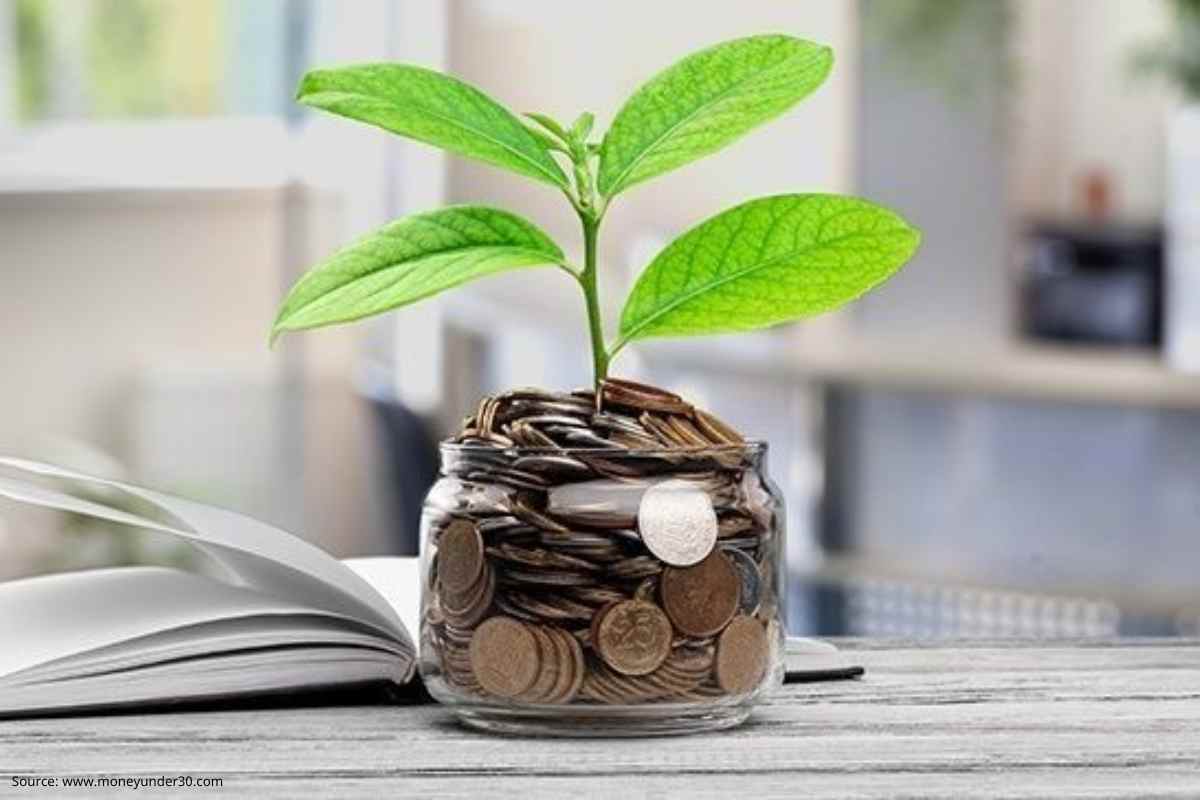 Mutual Fund Portfolio Rebalancing : म्युच्युअल फंडातून नफा मिळवायचाय? तज्ज्ञ काय म्हणतायत?