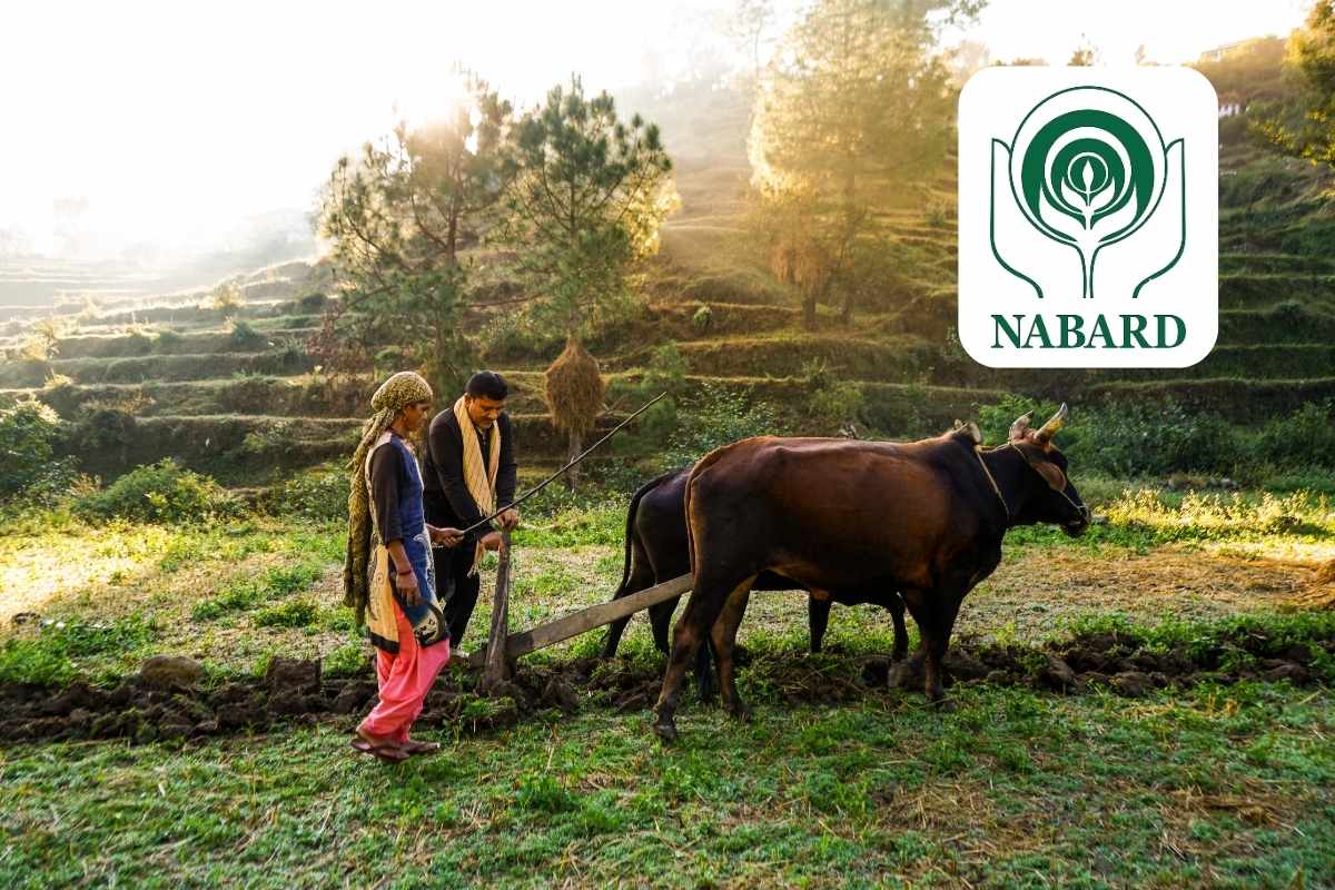 NABARD Dairy Farming Scheme, NABARD Scheme 2022