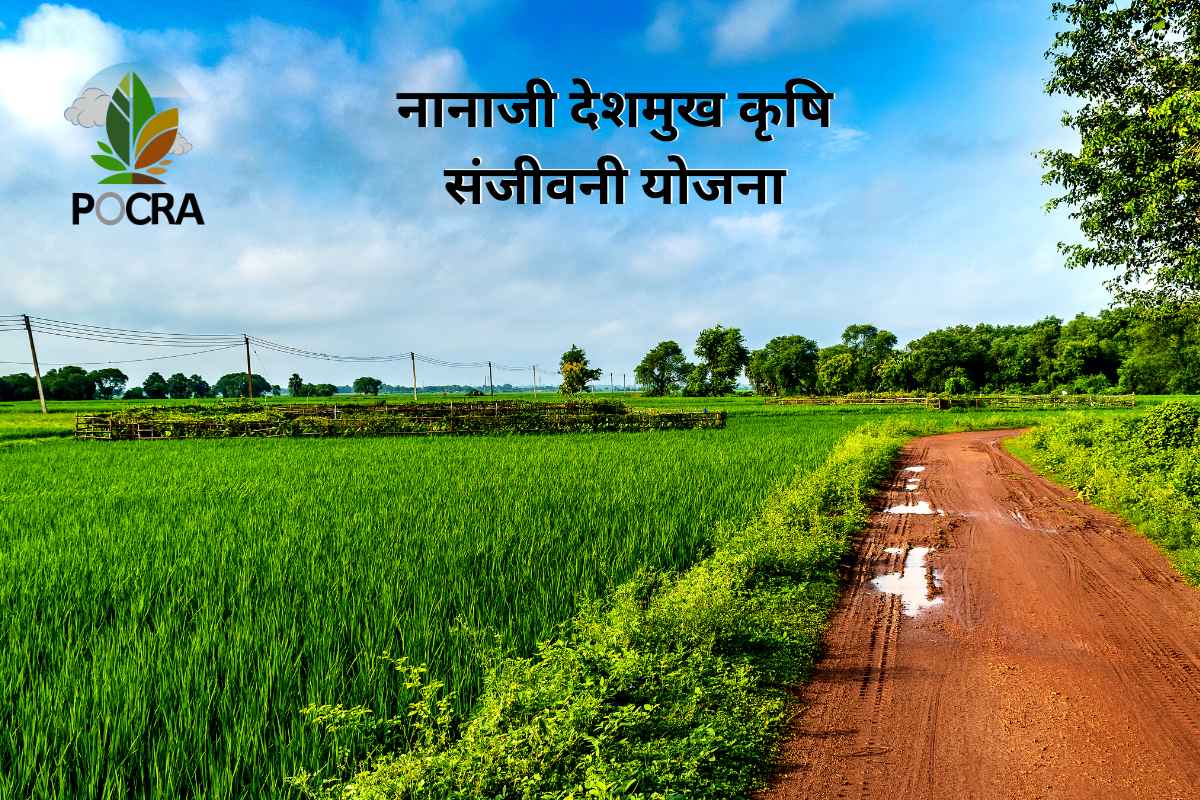 Nanaji Deshmukh Krushi Sanjeevani Yojana