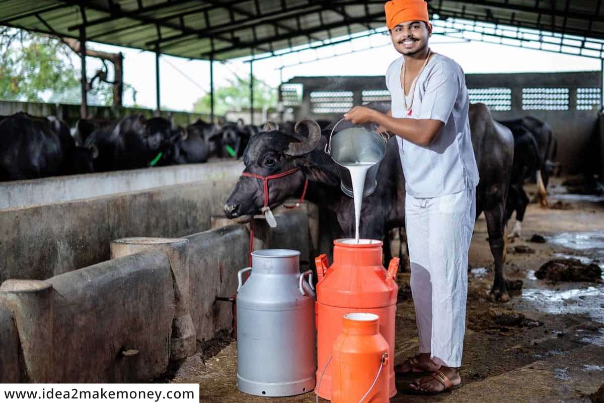 Milk Rate Hike : कर्नाटक सरकारने दुधाचे दर 3 रुपयांनी वाढवले; सीमा भागातील शेतकऱ्यांना होणार फायदा