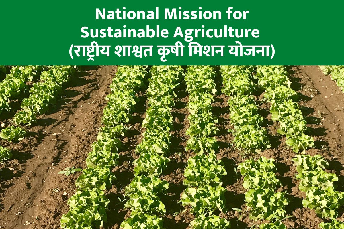 National Sustainable Agriculture Mission Scheme