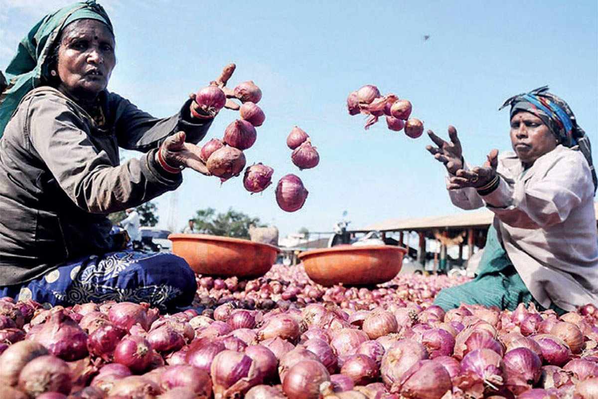Solapur onion farmer