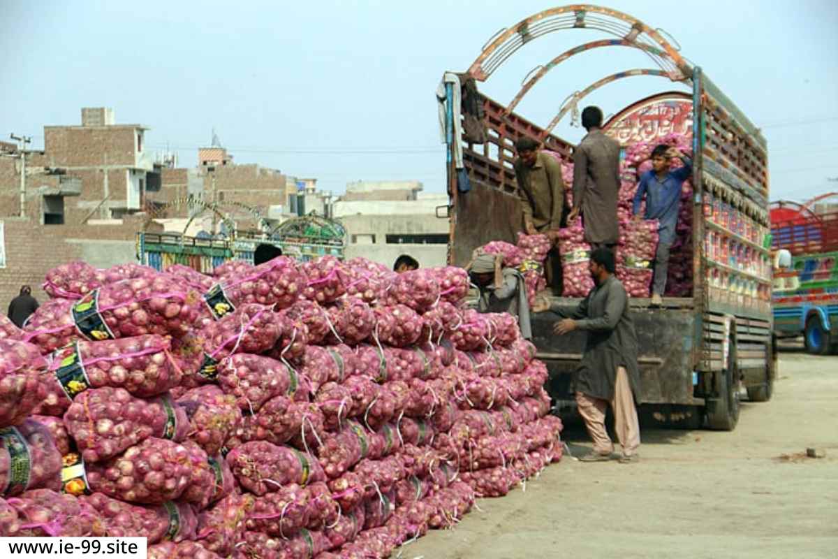 Onion Exports duty