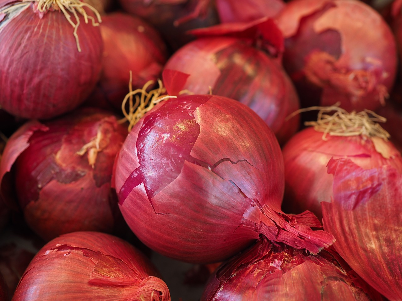 India Bans Onion Exports