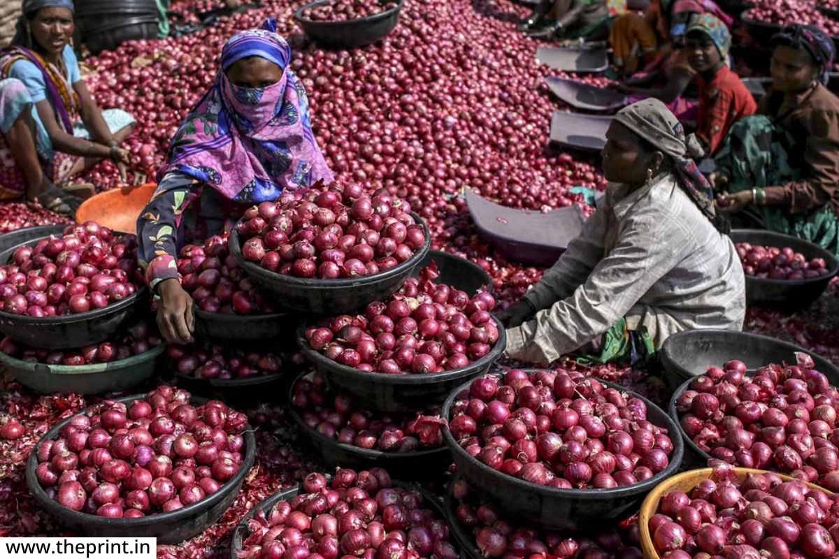 Onion Price: कांद्यातील महागाई रोखण्यासाठी केंद्र सरकार अ‍ॅक्शन मोडवर, आजपासून 25 रुपये किलोने विक्री