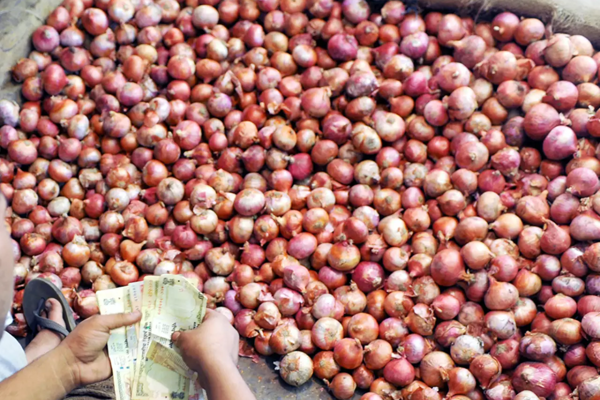 Onion Subsidy : कांदा उत्पादक शेतकऱ्यांना 15 ऑगस्टपूर्वी मिळणार अनुदानाची रक्कम; सरकारची घोषणा