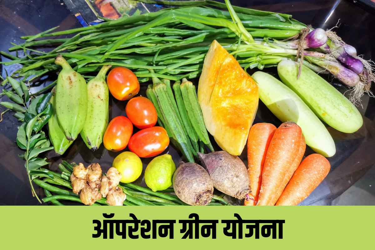 Pradhan Mantri Operation Green Scheme