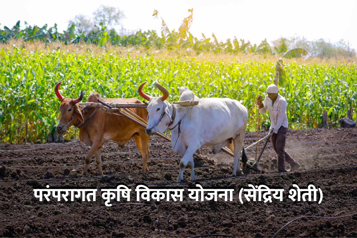 Paramparagat Krishi Vikas Yojana (PKVY)