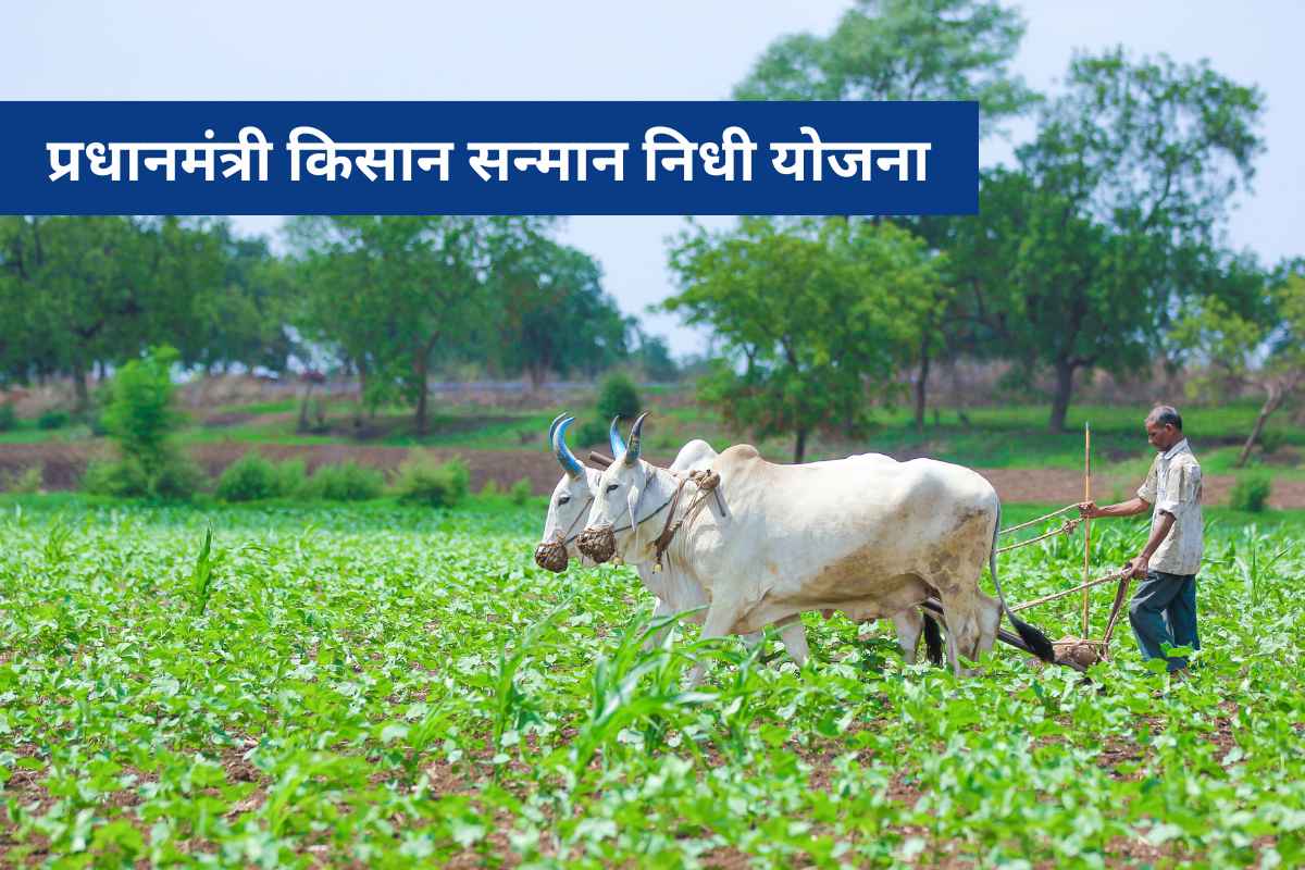 PM Kisan Samman Nidhi