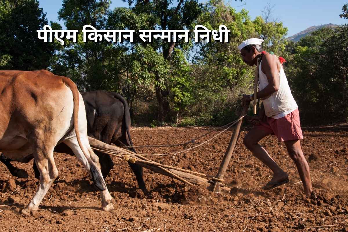 PM Kisan Samman Nidhi