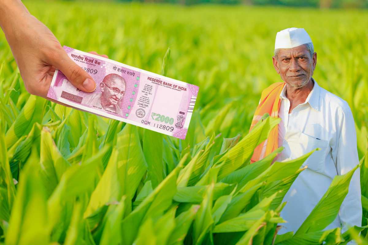 PM Kisan Subsidy