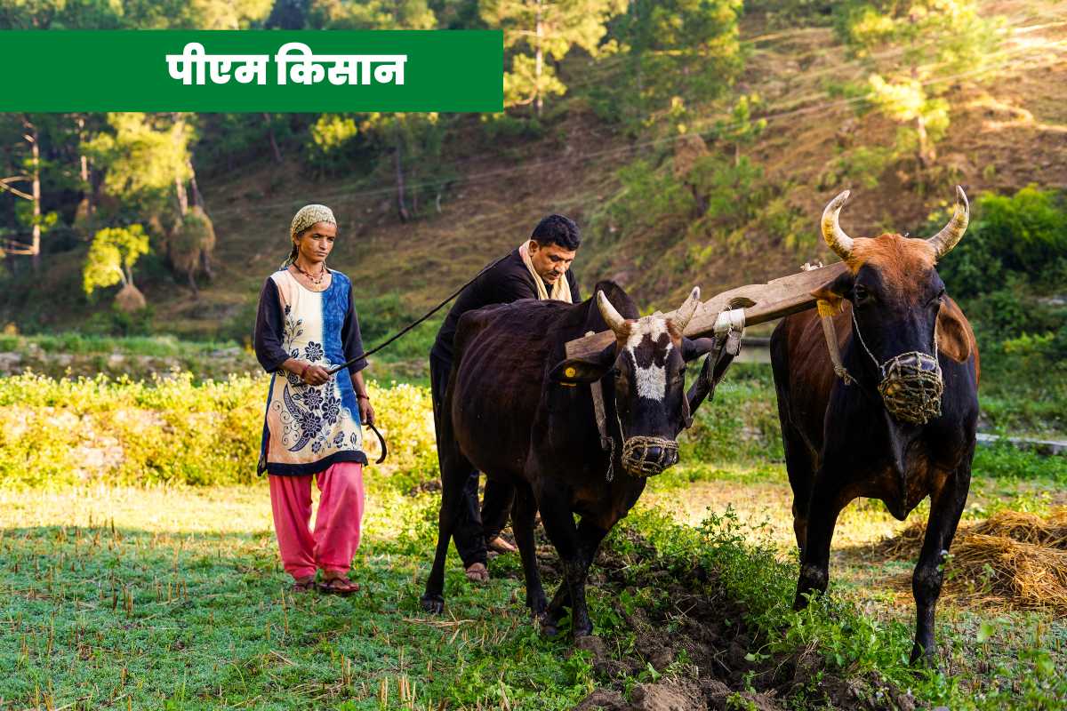 PM Kisan Yojana