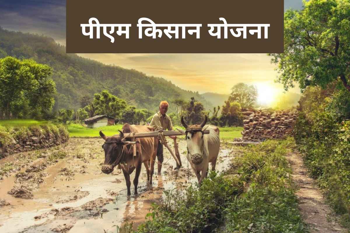 PM Kisan Yojana : लवकरच मिळणार पीएम किसान योजनेचा 14वा हफ्ता, लाभार्थ्याचे अपडेट्स जाणून घ्या