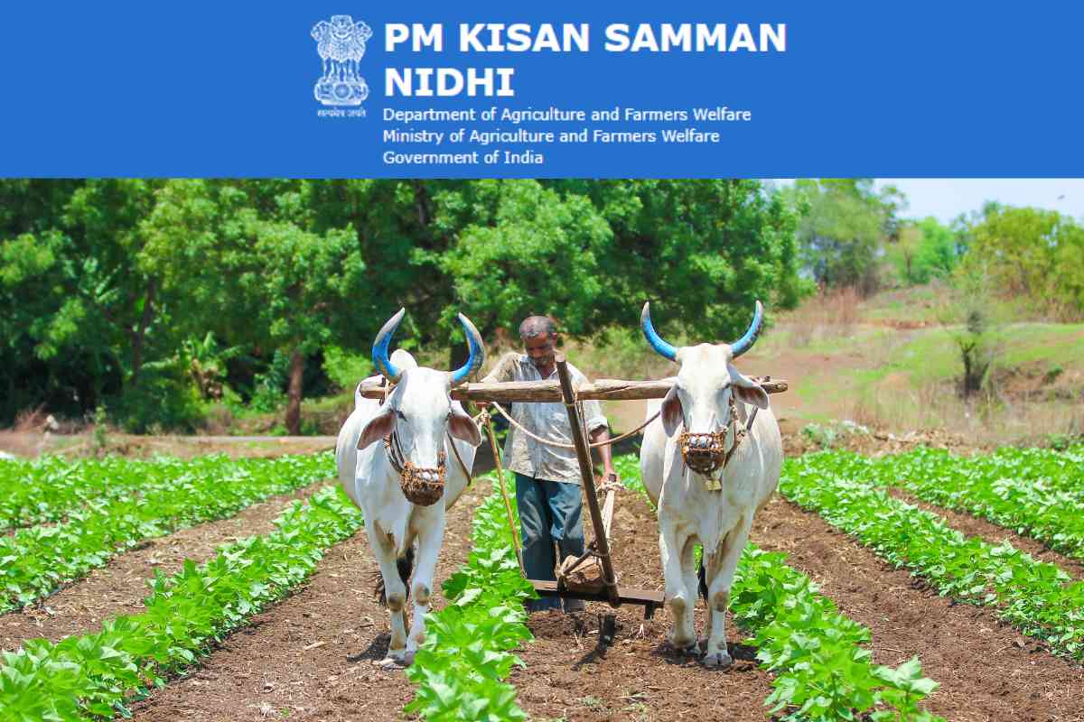 PM kisan