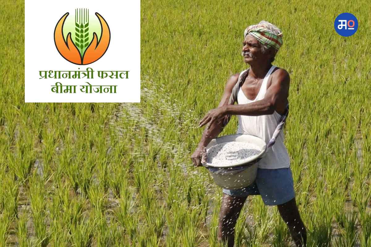 PMFBY: शेतकऱ्यांसाठी महत्त्वाची बातमी! 31 जुलैपर्यंत पीक विमा घ्या, वाचा प्रिमियम दर...