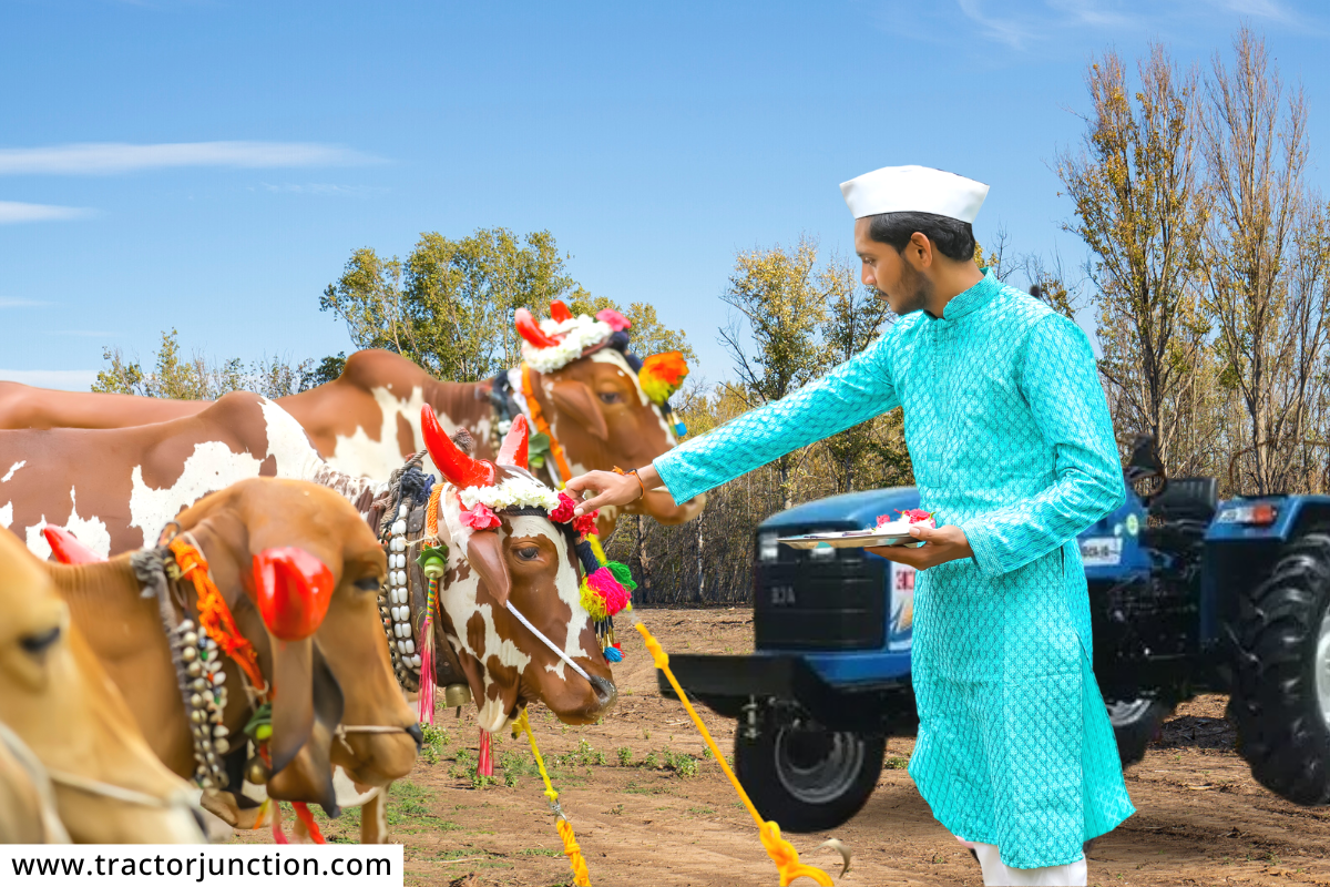 Pola Festival : शेती व्यवसायासाठी ट्रॅक्टर फायद्याचा की सर्जा-राजा बैलजोडी?