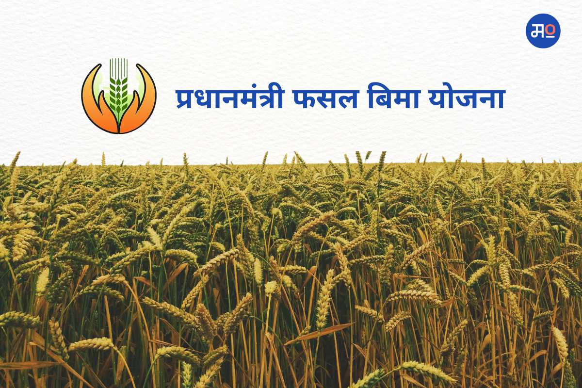 Pradhan Mantri Fasal Bima Yojana : पिकांचं नुकसान झालं? प्रधानमंत्री फसल बिमा योजनेची होऊ शकते मदत