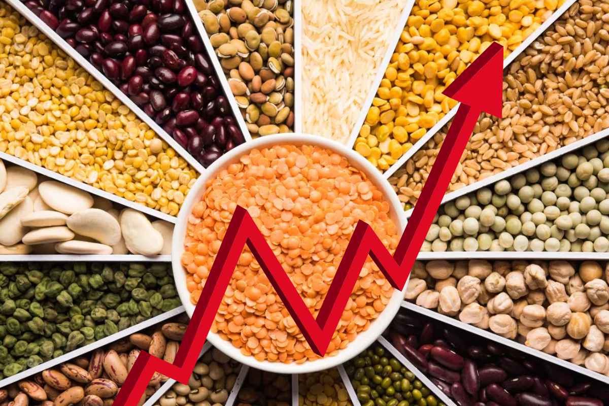 Pulses and Lentils Price Hike