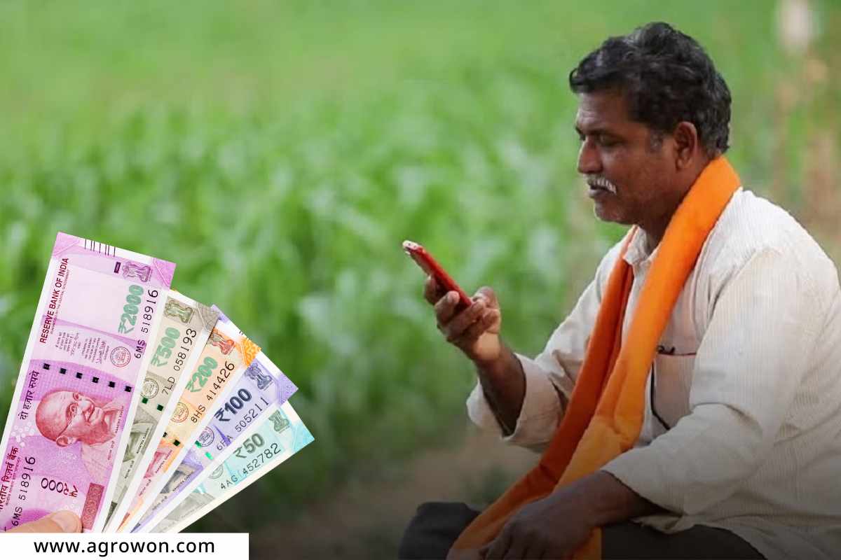 Crop insurance : शेतकऱ्यांना दिलासा! पंतप्रधान पीक विमा योजनेचा अर्ज करण्यासाठी 3 दिवसांची मुदत वाढ